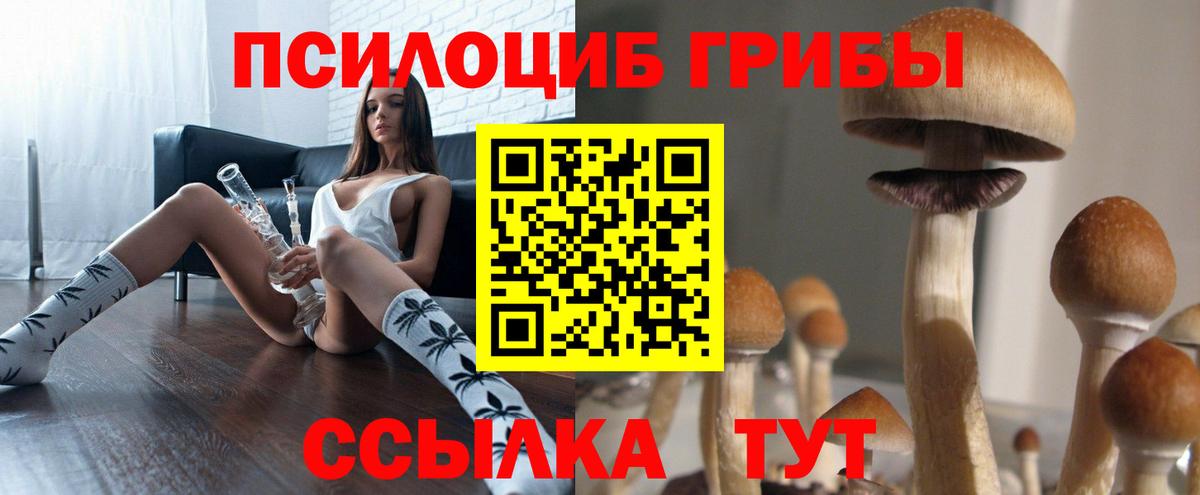 Шали  Галлюциногенные грибы мицелий  Галлюциногенные грибы Psilocybine cubensis  Вход с VPN 